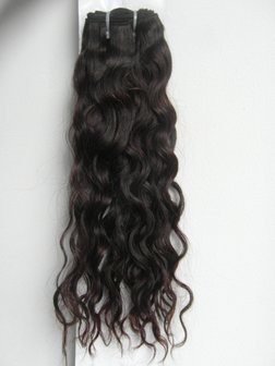 Braziliaanse krullende haar-weave (14 inch)